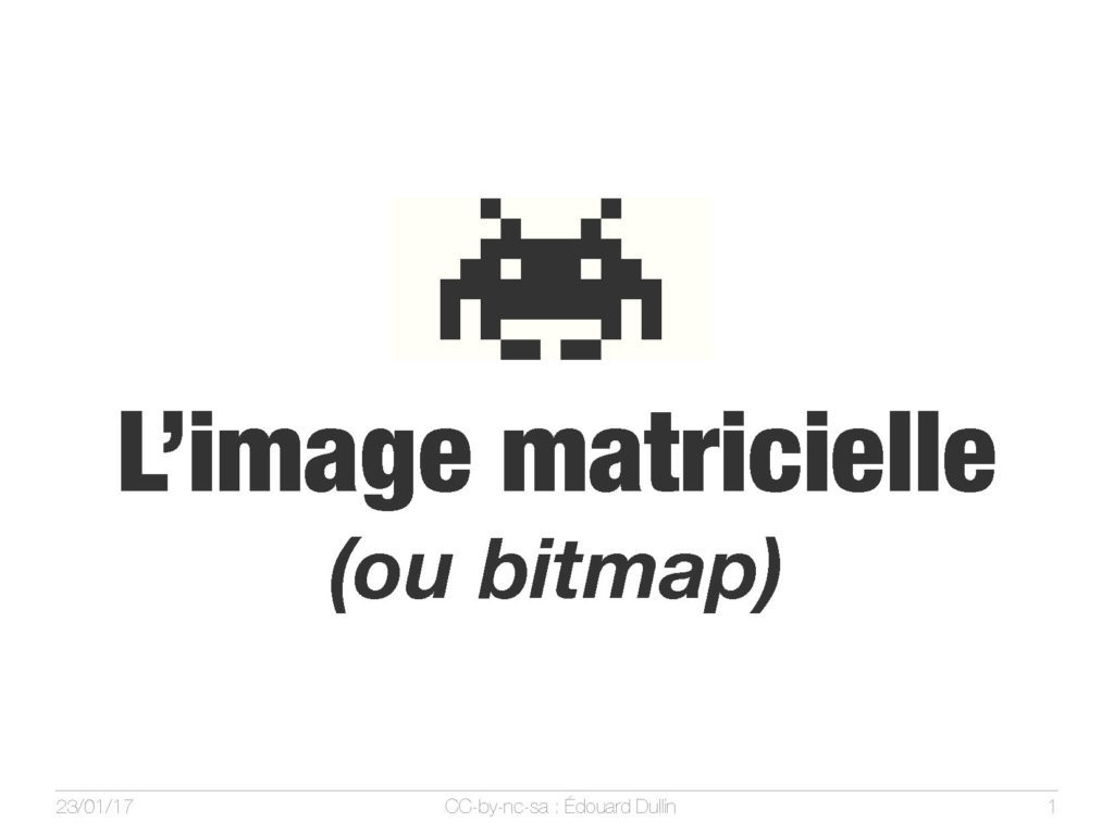L’image matricielle (ou bitmap)