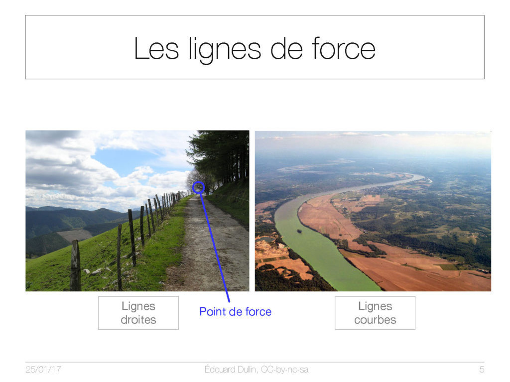 Les lignes de forces