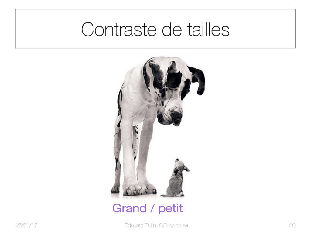 Contraste de tailles