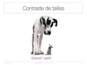 Contraste de tailles