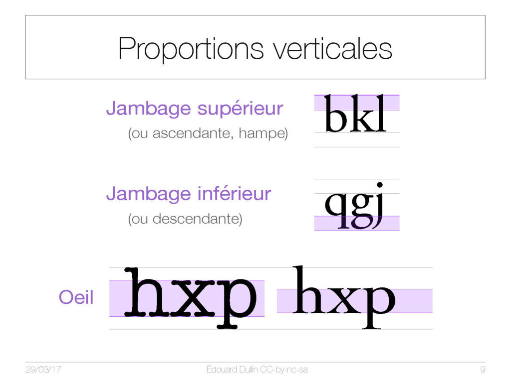 Proportions verticales