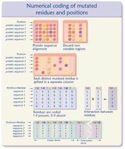 Numerical coding