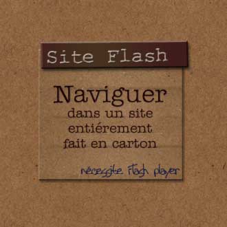 site Flash