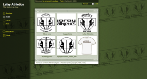 Webdesign boutique en ligne, Methode Lafay